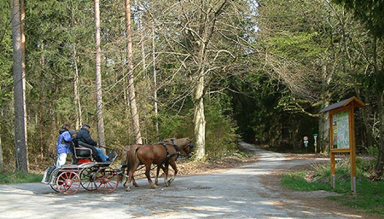 Herberg Landgasthaus Zum Moenchshof